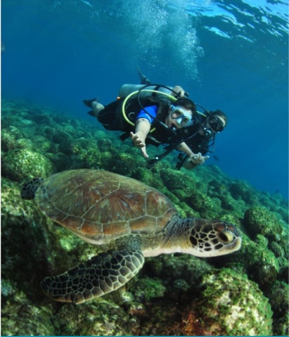 Mergulhadora e tartaruga-marinha durante o mergulho embarcado