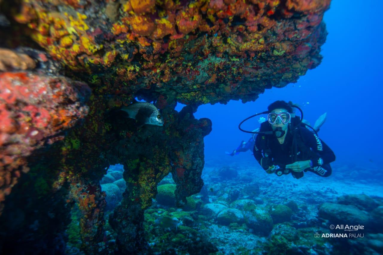 Mergulhadora observando um peixe junto às formações rochosas submersas