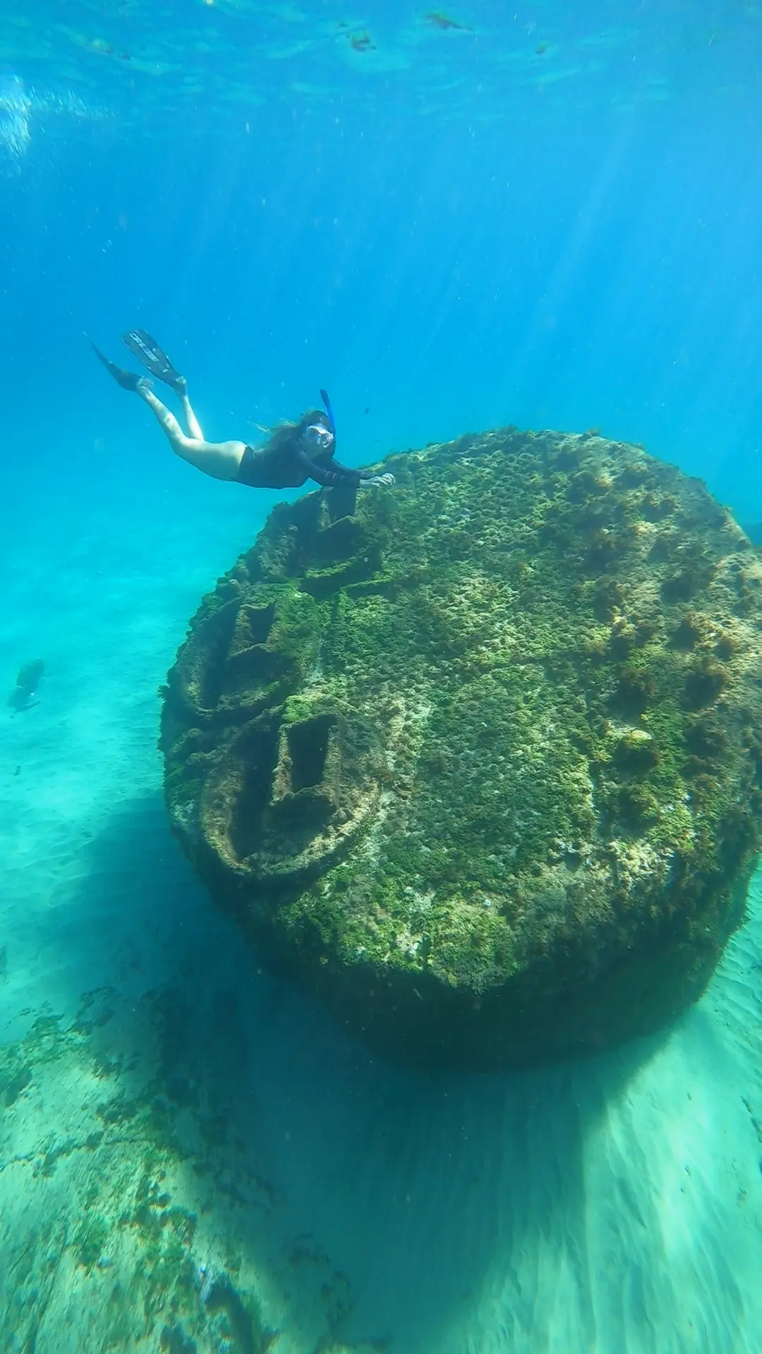 Mergulho Livre com Snorkel em Fernando de Noronha