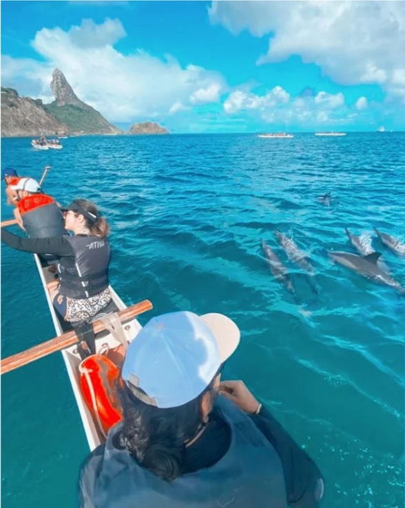 Encontro com golfinhos durante o passeio de canoa havaiana