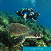 Mergulho de Cilíndro Embarcado - Batismo